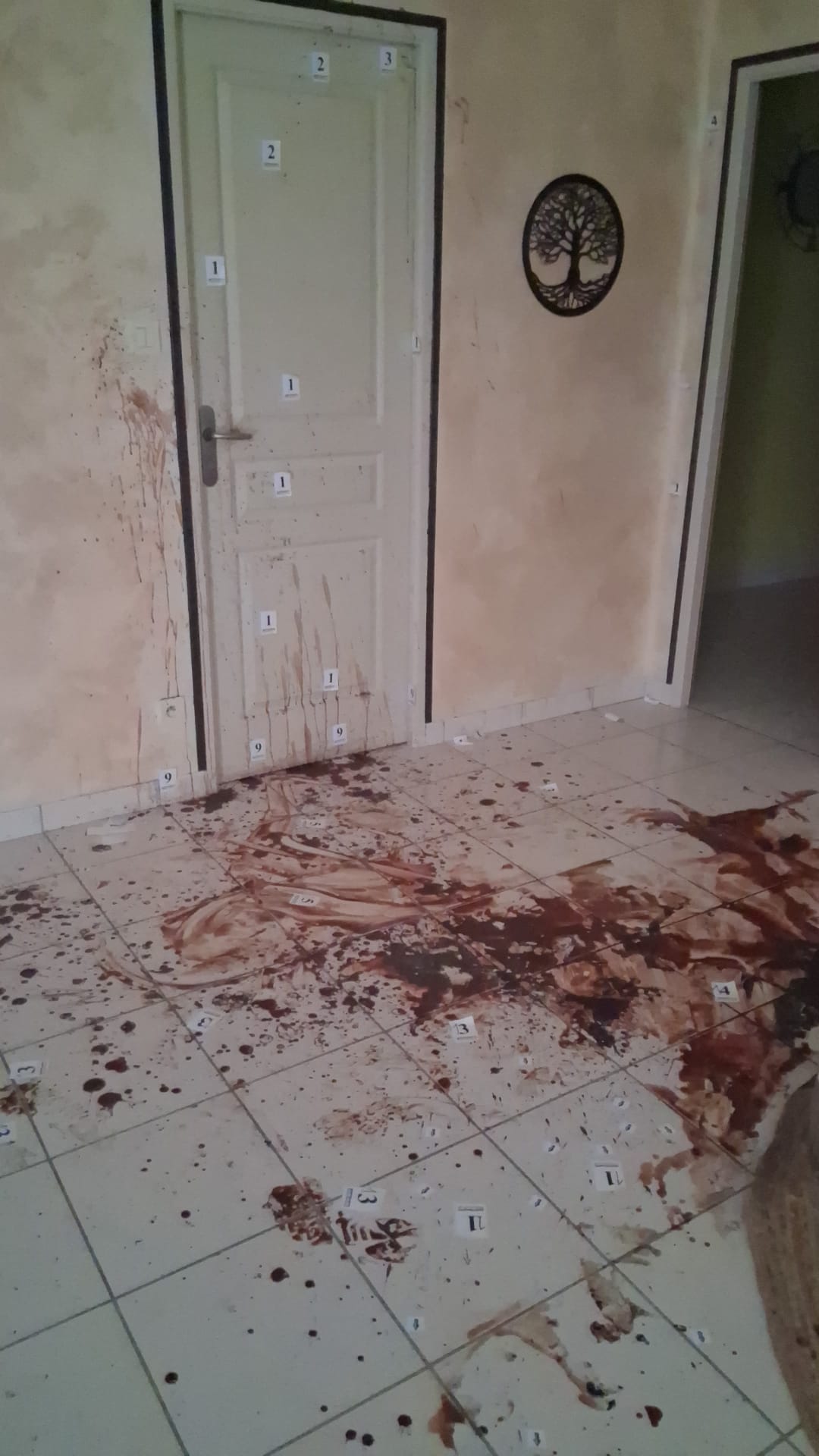Peut-on isoler une pièce contaminée pendant des jours ? WhatsApp Image 2025 04 17 A 15.42.12 34fb85a2