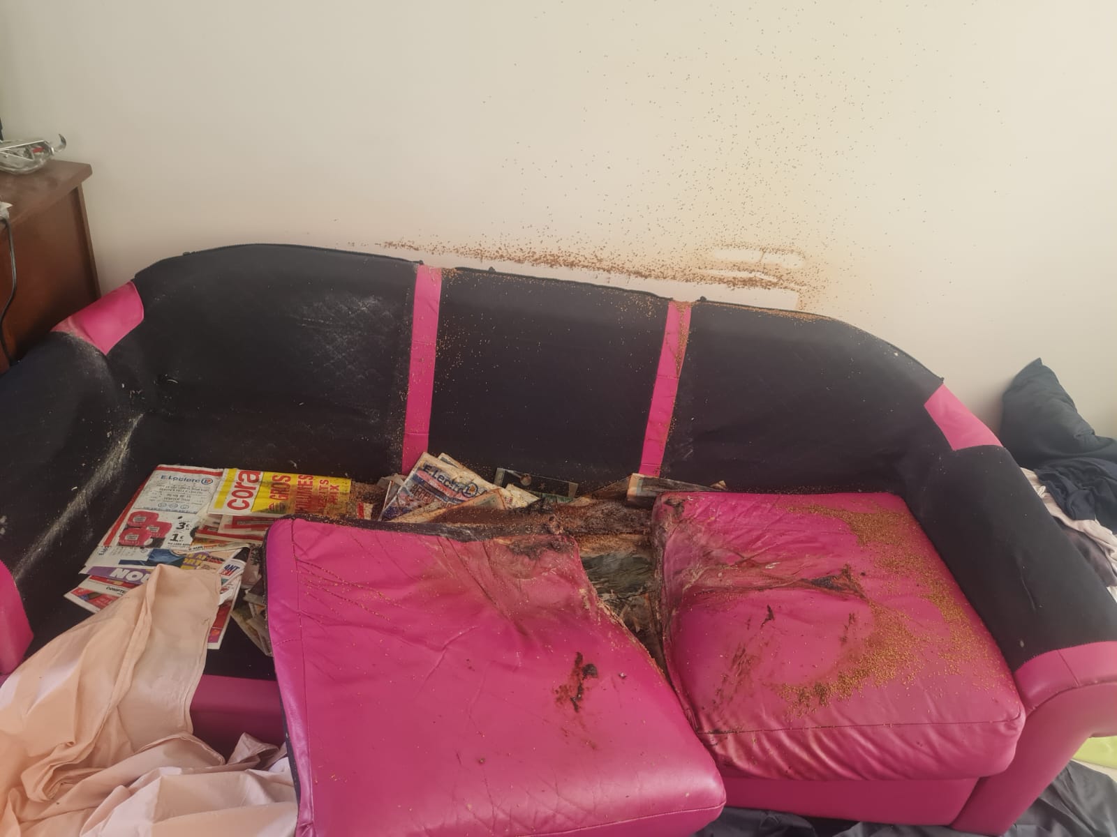 Faut-il traiter les textiles particuliers (rideaux, canapés) différemment ? WhatsApp Image 2025 04 18 A 17.15.46 7c03292f